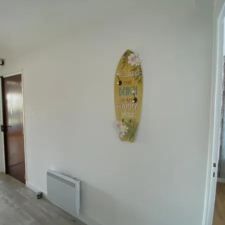 T2 Renove A Royan, Proche Plage, Parking Prive, Equipements Neufs Et Jardinet. - Fr-1-539-49 Lägenhet